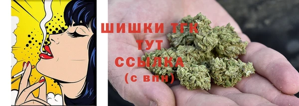 сатива Навашино