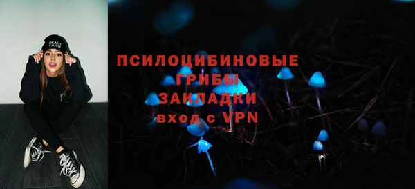 mdpv Каменск-Шахтинский