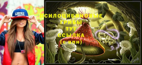 ECSTASY Каменногорск