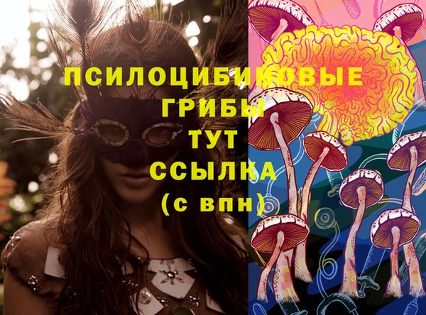 mdpv Каменск-Шахтинский