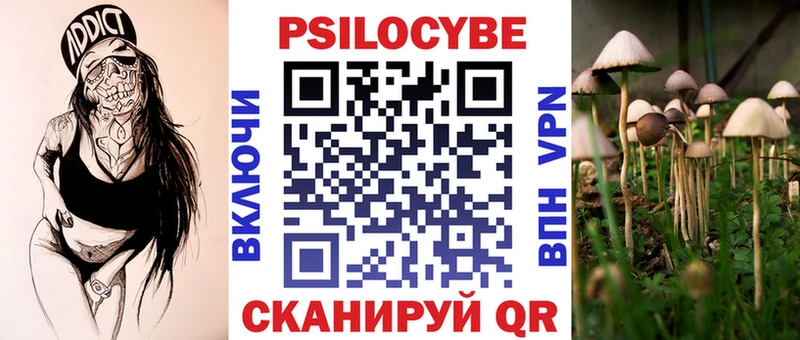 Галлюциногенные грибы MAGIC MUSHROOMS  закладка  нарко площадка клад  Михайловка  ссылка на мегу зеркало 