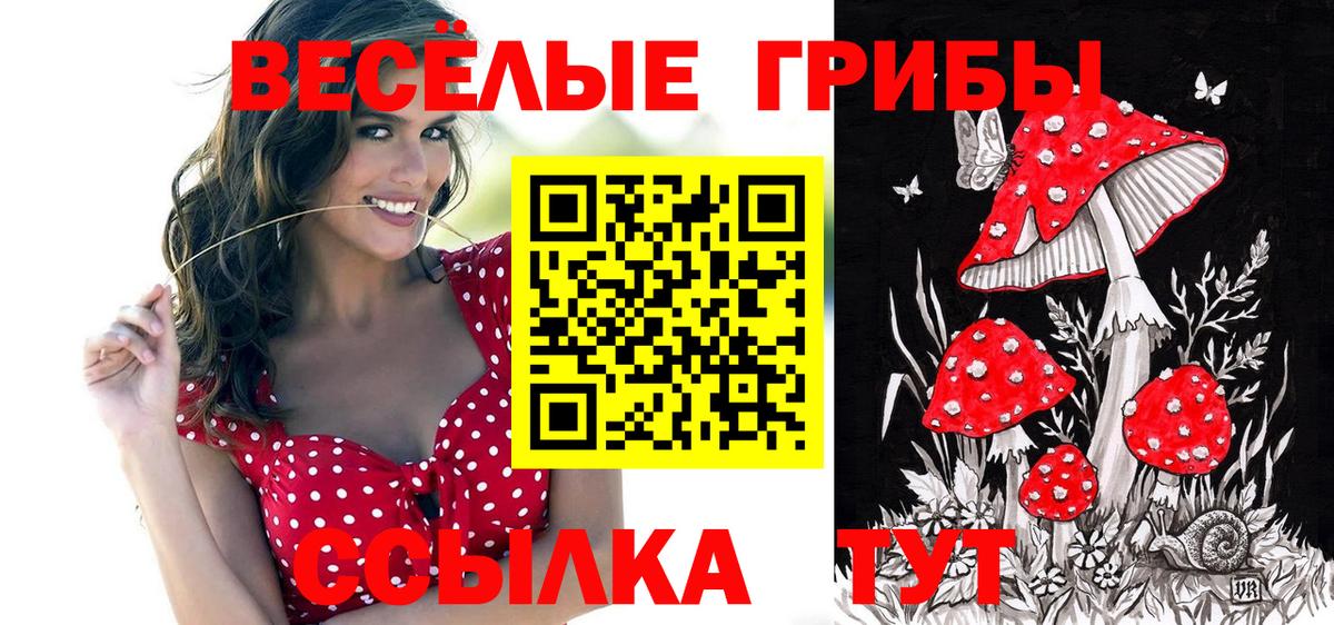 Галлюциногенные грибы MAGIC MUSHROOMS  Вход с VPN  Галлюциногенные грибы Psilocybine cubensis  Михайловка 